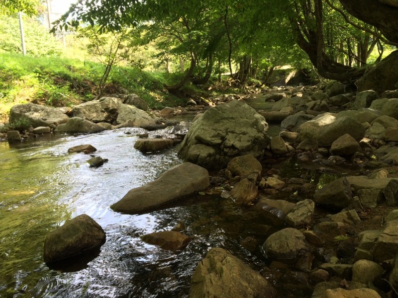 o0800060013076725099