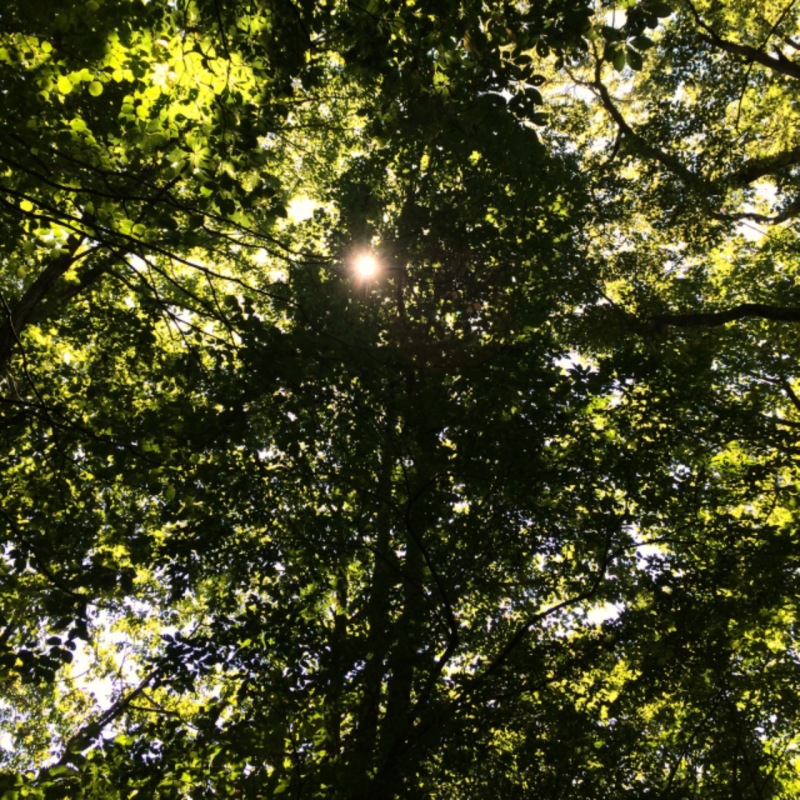 o0800080013076725100