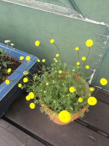 t02200293_0240032013280487498