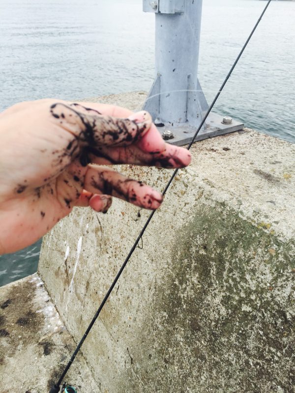 %e3%83%95%e3%82%a1%e3%82%a4%e3%83%ab-2016-09-16-10-24-08