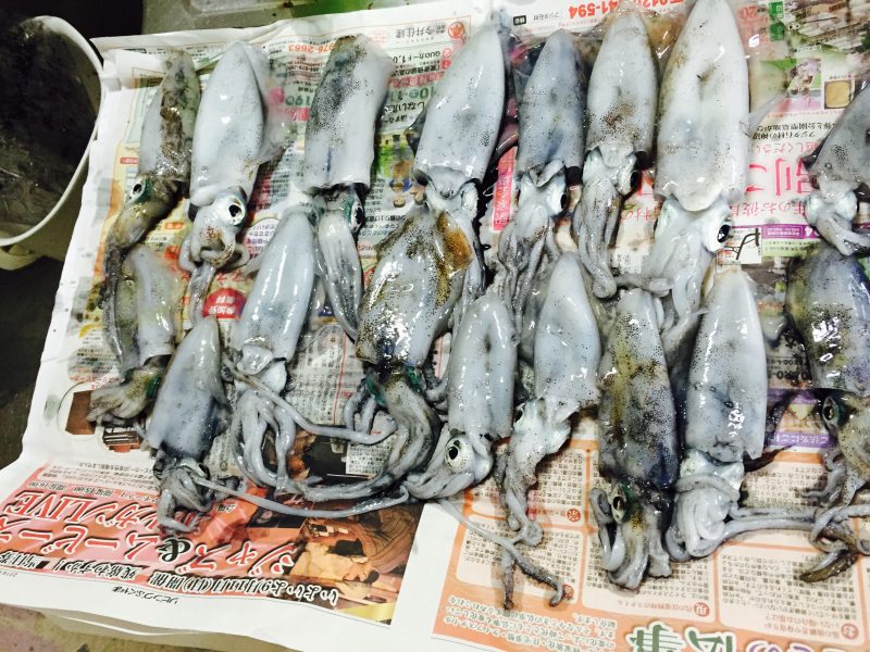 %e3%83%95%e3%82%a1%e3%82%a4%e3%83%ab-2016-09-16-10-21-46