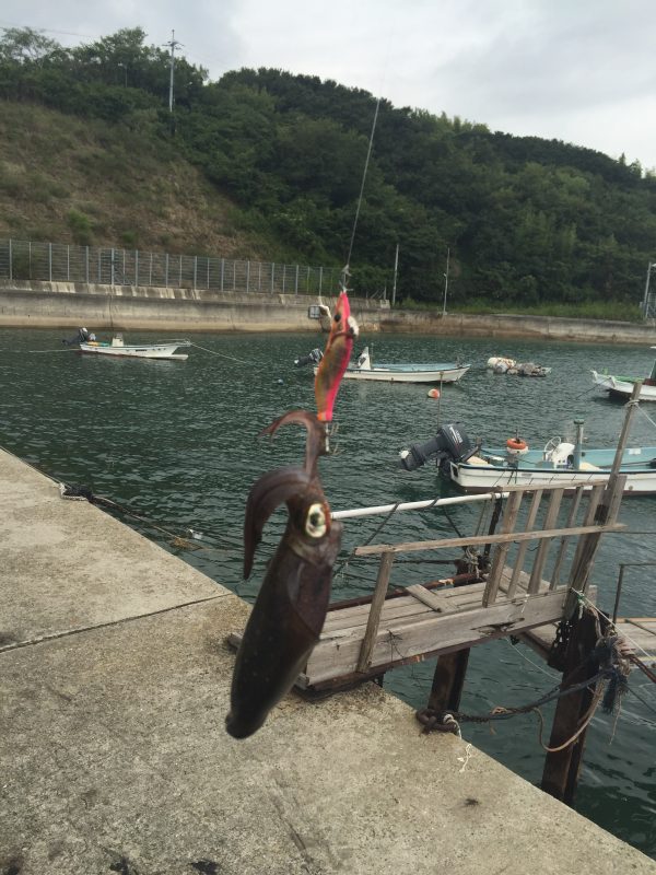 %e3%83%95%e3%82%a1%e3%82%a4%e3%83%ab-2016-09-16-11-26-08