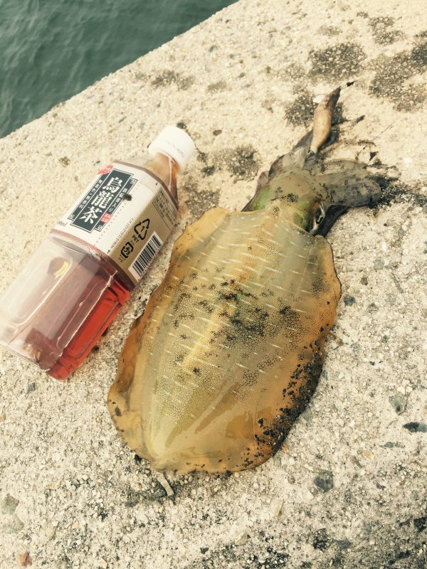 %e5%86%99%e7%9c%9f-2016-10-19-10-57-33