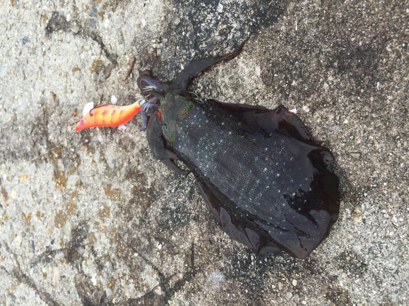 %e5%86%99%e7%9c%9f-2016-10-07-12-35-53