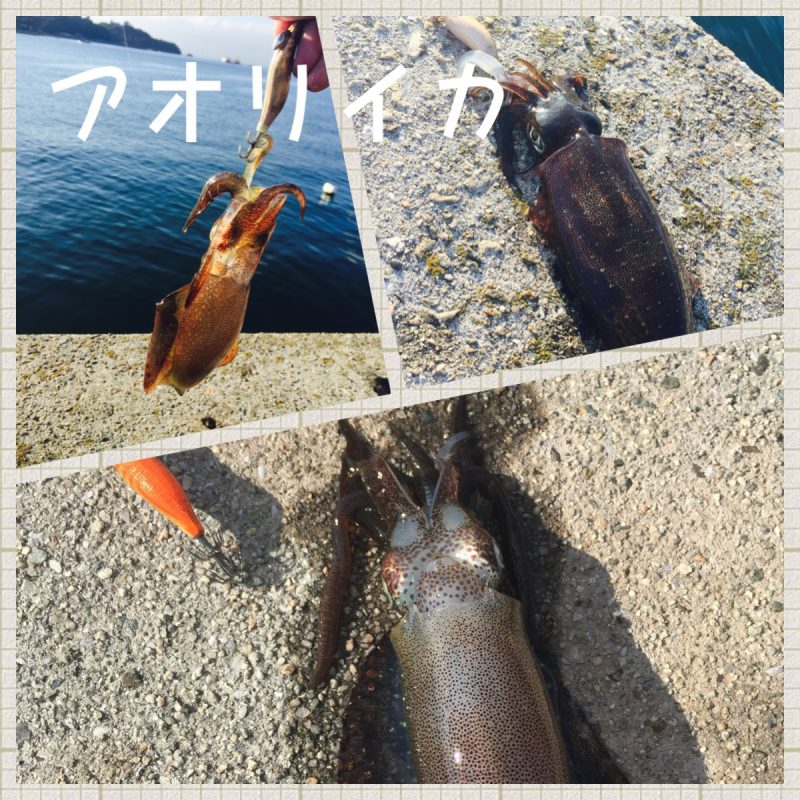 Processed with MOLDIV