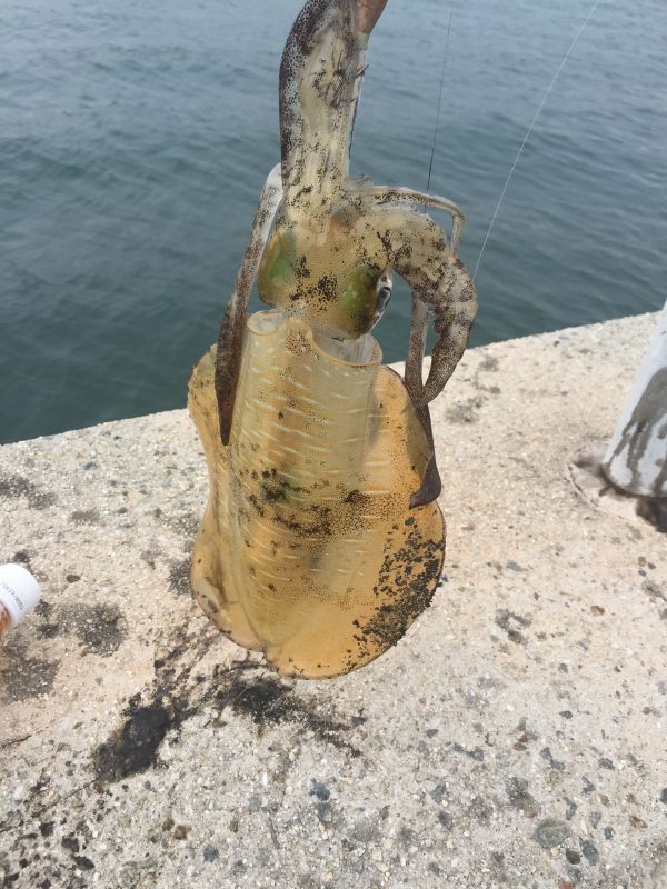 %e5%86%99%e7%9c%9f-2016-10-19-10-57-26