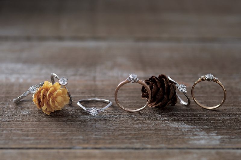 wink-2016-11%e3%82%a8%e3%83%ab%e3%83%89%e3%83%bc%e6%a7%98