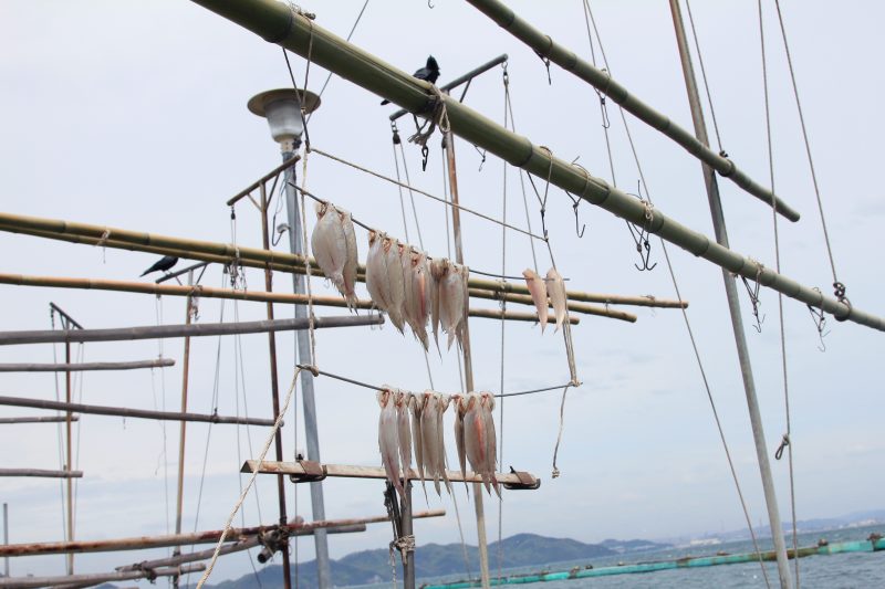 鞆の浦は昔が残るまち