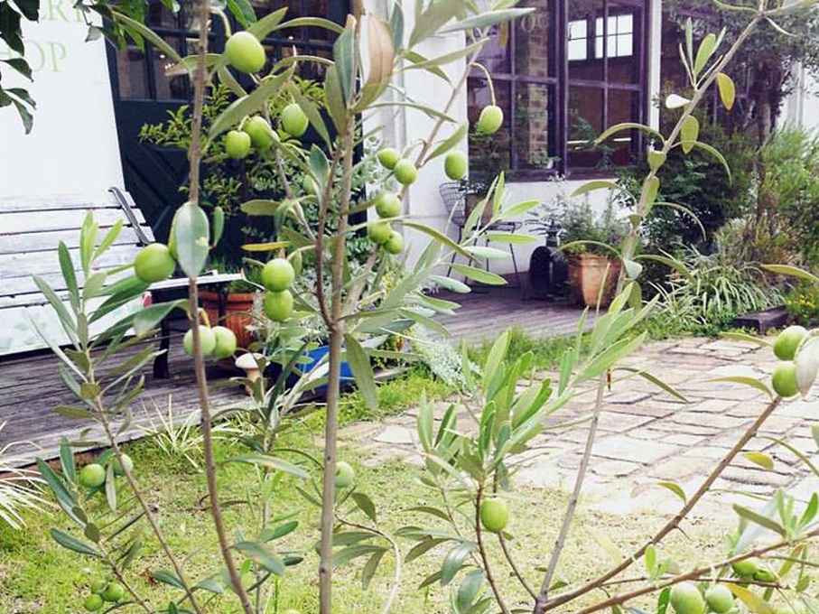 会話の中から見つかった、モチーフとは?