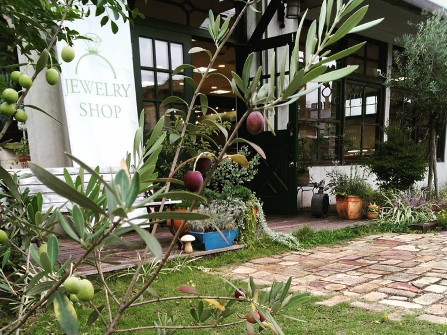 お庭には実のなる木々も