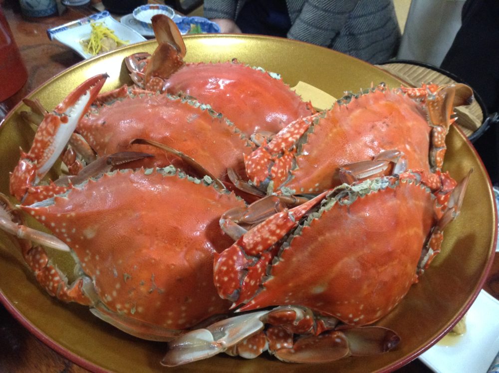 時期を見極めていきたい民宿「カーサ・タケダ」