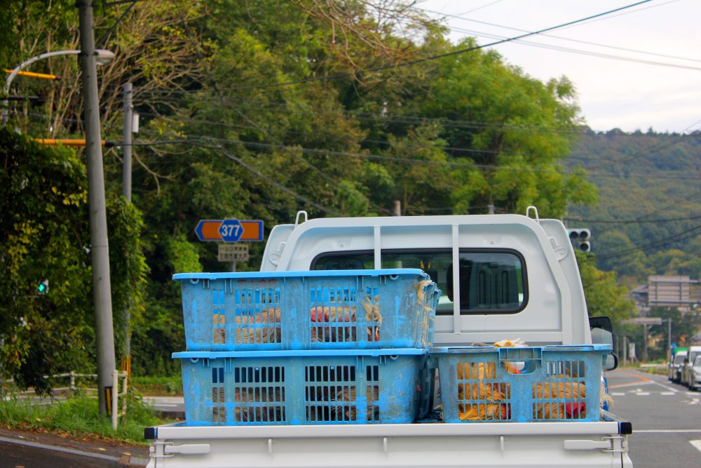 突如目の前に現る、お初なお荷物。