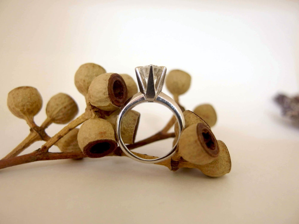 横から見ると…