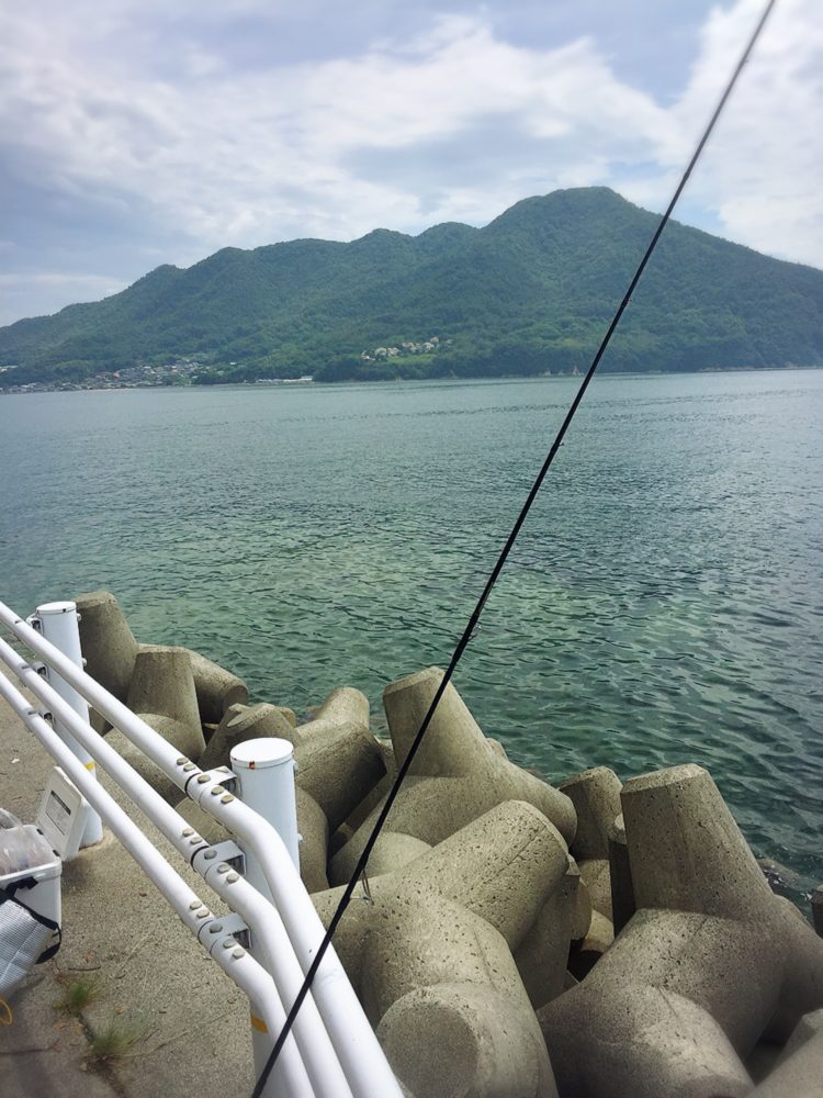 福山市内海町での海釣り