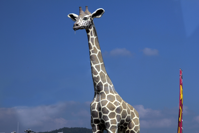 これも東広島の名所では？