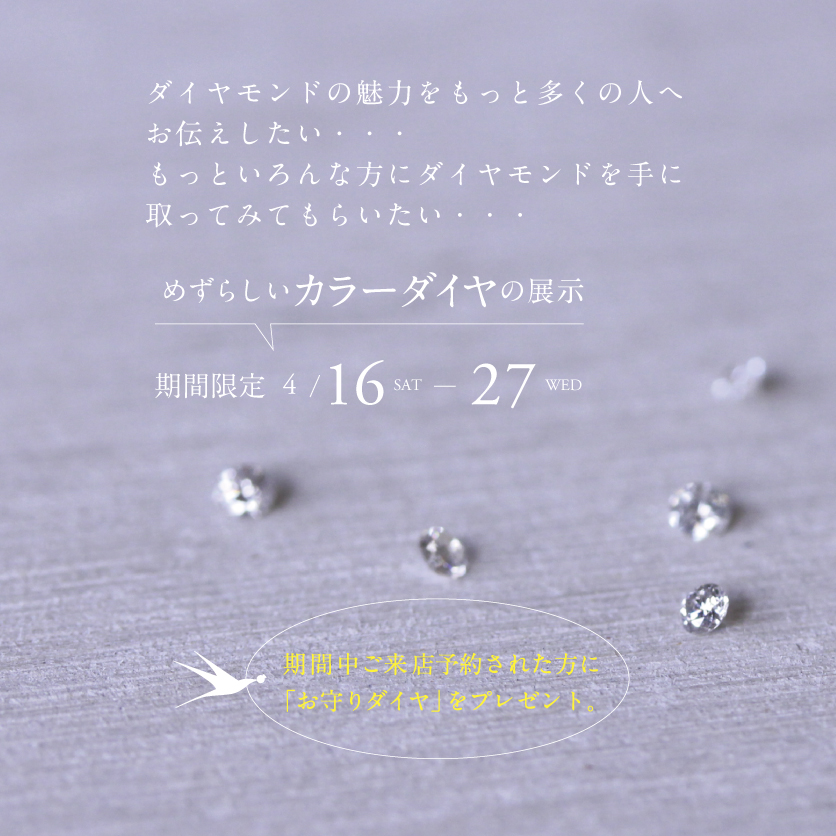 カラーダイヤ展示