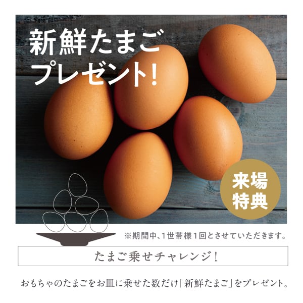 美味しい卵