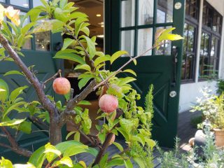 『エルドー』の日常、のぞいてみませんか？