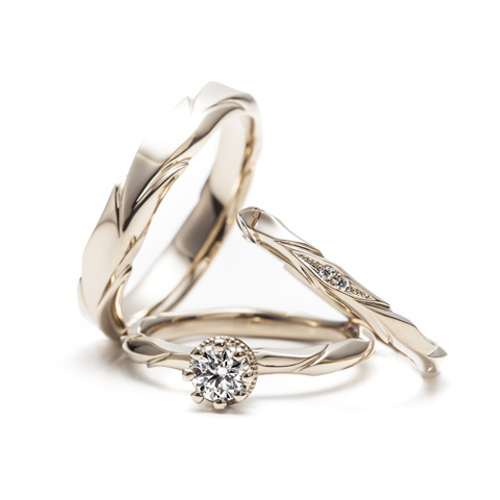 
月桂樹をモチーフのエルドーセレクトブランドアフラックス／AFFLUX『ローレル／きみを讃える』