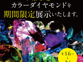 カラーダイヤ展示