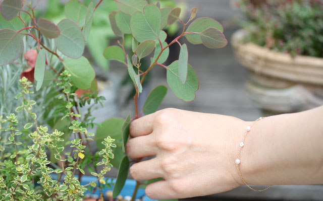 ｢うれしい､たのしい､だいすき｣を日々考えているお店です｡